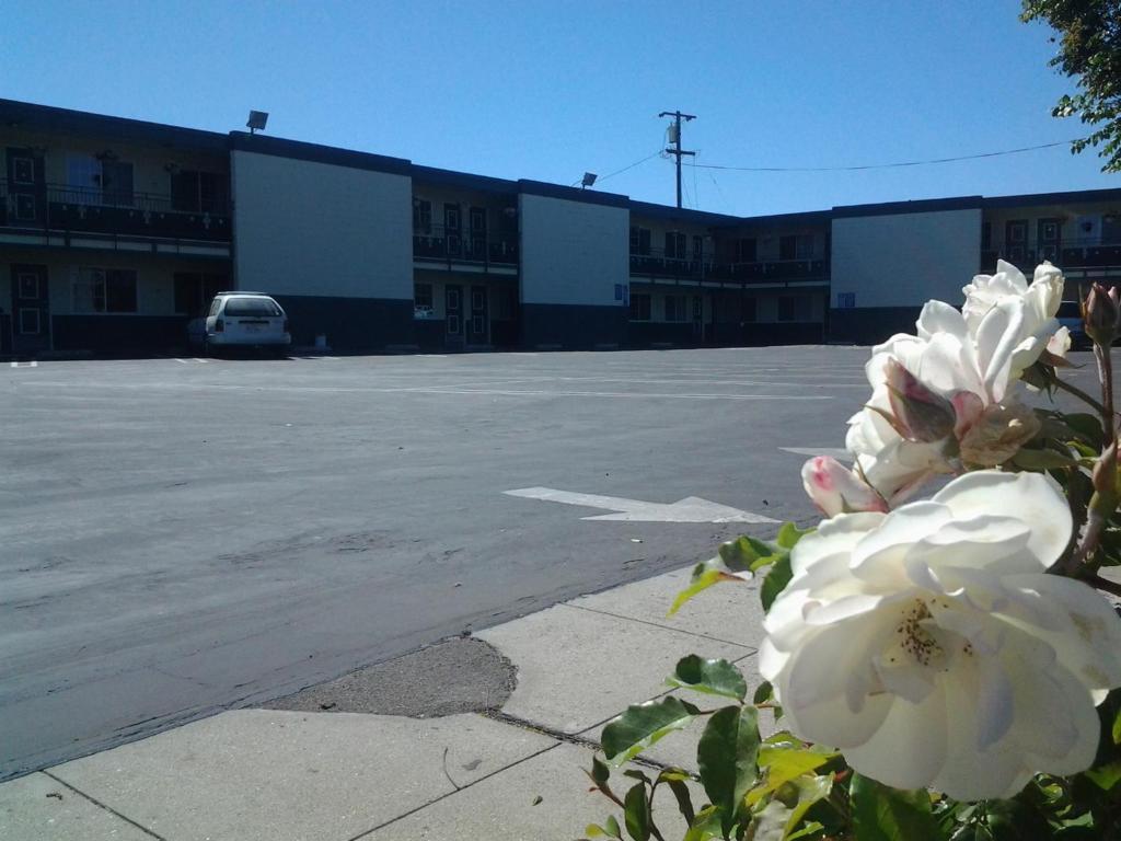 Holiday Motel - Santa Maria Santa Maria (Santa Barbara County) Exterior photo